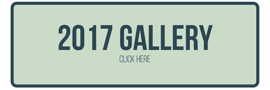 2017 Gallery