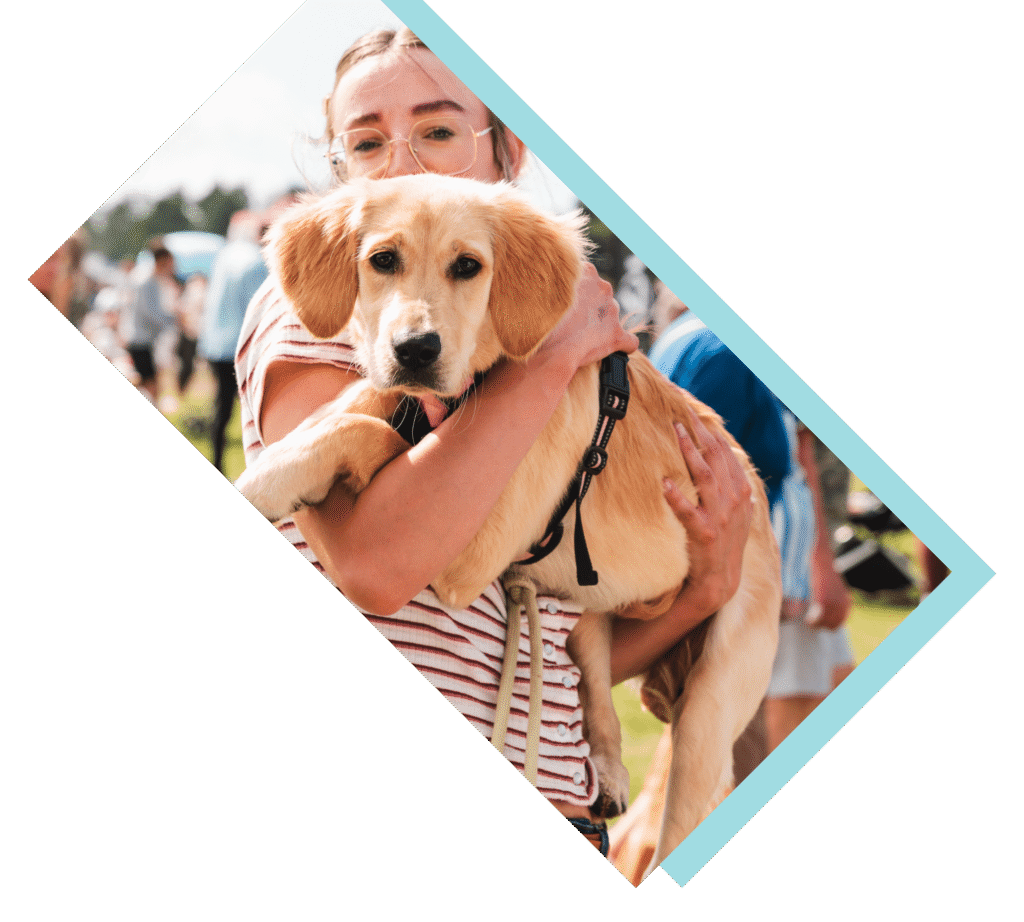 Dogs are very welcome!